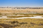 Etosha Pan Namibia